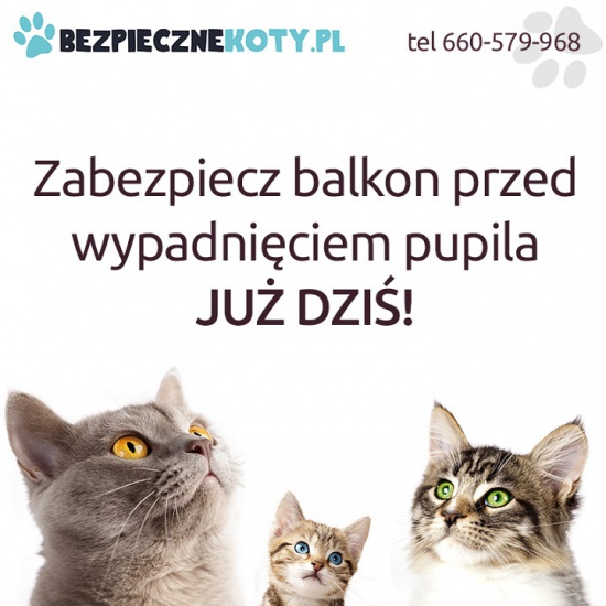 Siatka dla kota, kocia siatka, siatki dla kotów - montaż.